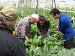 2013-03-15 02 entrée