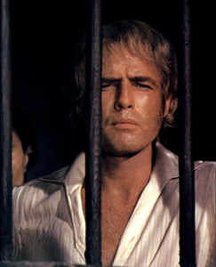 2014-12-14 01 Brando1