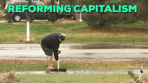 2016 11 08 01 Reforming Capitalism gif