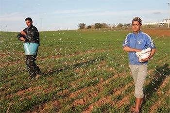 2017 07 26 03 Moroccan farmers