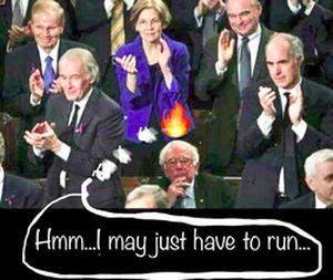 2019 02 10 02 bernie