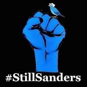 2019 02 27 04 Bernie 2020