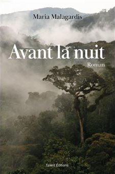 avant la nuit
